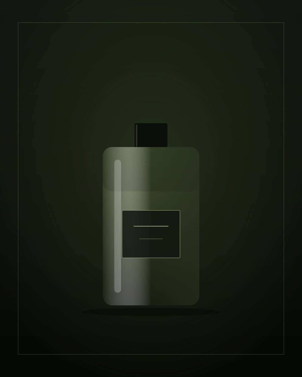 رز ۳۱